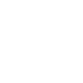 Apple Apple