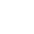 Vice Vice