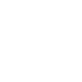 Fox Fox